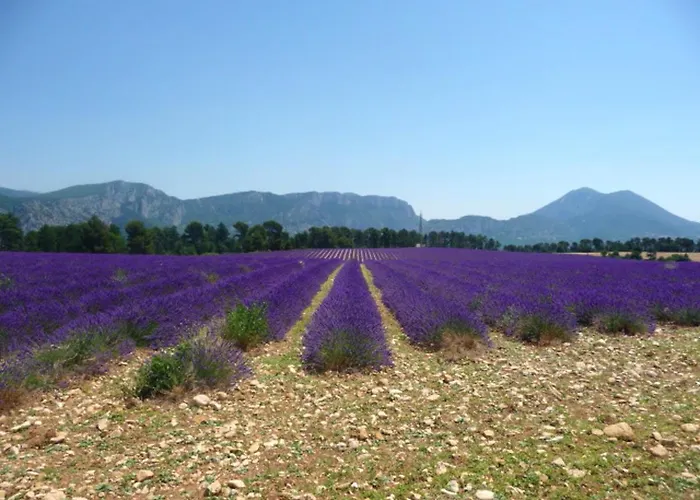 Elegante A Avec Piscine Privee Et Jacuzzi * Céreste